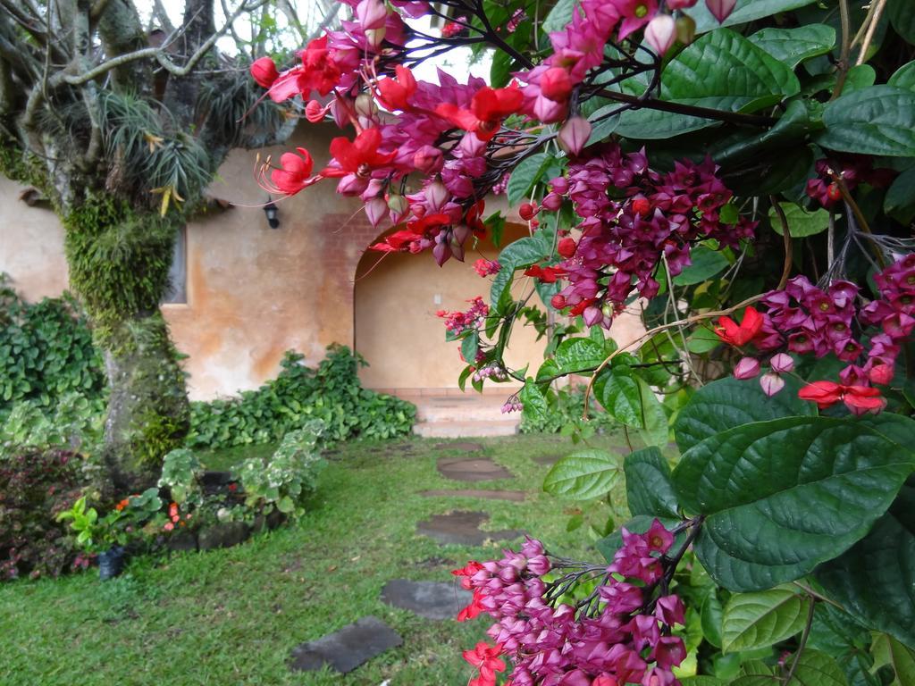 Valle Primavera Boquete Exterior photo